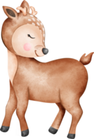 Baby Hirsch Wald Tiere Aquarell png