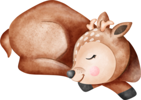 bambino cervo addormentato bosco animali acquerello png