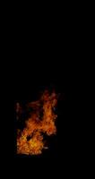 brand vlammen dansen Aan een zwart achtergrond video