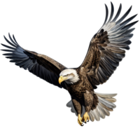 Bald eagle flying isolated ai generative png