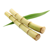 Sugar cane stalk ai generative png