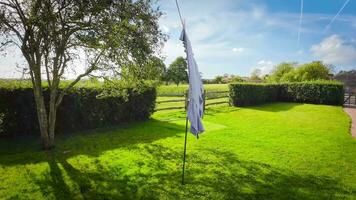 Sunny Day Laundry Freshly Hung Clothes on the Line video