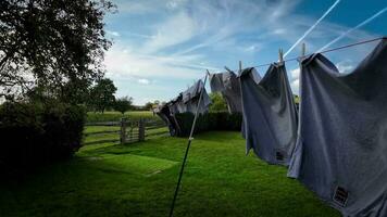 Sunny Day Laundry Freshly Hung Clothes on the Line video