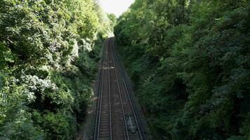 ferrocarril mediante el bosque naturalezas tranquilo camino video