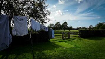 Sunny Day Laundry Freshly Hung Clothes on the Line video