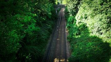 ferrovia attraverso il foresta nature tranquillo sentiero video