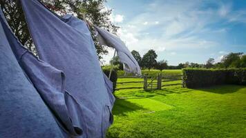 Sunny Day Laundry Freshly Hung Clothes on the Line video