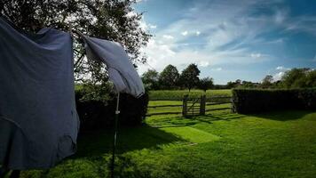 Sunny Day Laundry Freshly Hung Clothes on the Line video