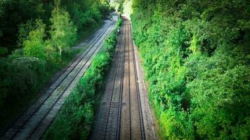 ferrovia attraverso il foresta nature tranquillo sentiero video