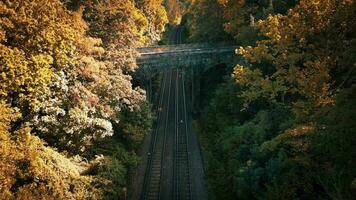 Railway Through the Forest Natures Tranquil Path video