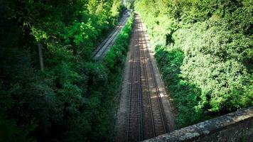 estrada de ferro através a floresta naturezas tranquilo caminho video
