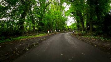 verão estrada viagem através a Inglês campo video