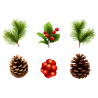 Christmas decorations. Holly spruce red berries ai generative png