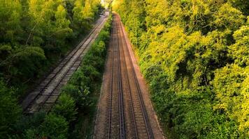 Eisenbahn durch das Wald Naturen still Pfad video