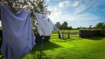 soleado día lavandería recién colgado ropa en el línea video