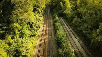 ferrovia attraverso il foresta nature tranquillo sentiero video