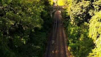 Eisenbahn durch das Wald Naturen still Pfad video