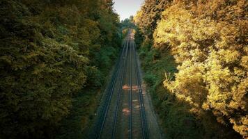 ferrocarril mediante el bosque naturalezas tranquilo camino video