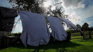 zonnig dag wasserij vers hing kleren Aan de lijn video