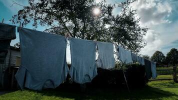 soleado día lavandería recién colgado ropa en el línea video