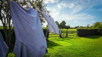 Sunny Day Laundry Freshly Hung Clothes on the Line video