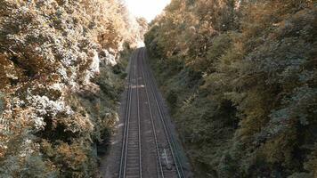 ferrovia attraverso il foresta nature tranquillo sentiero video