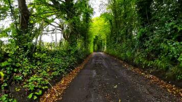 été route voyage par le Anglais campagne video