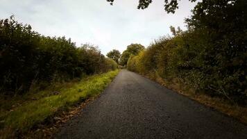 outonal estrada uma cênico dirigir através a floresta video