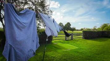 zonnig dag wasserij vers hing kleren Aan de lijn video