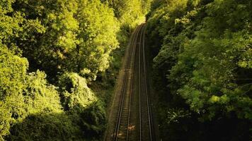 ferrocarril mediante el bosque naturalezas tranquilo camino video