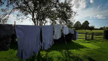 soleado día lavandería recién colgado ropa en el línea video