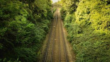 ferrocarril mediante el bosque naturalezas tranquilo camino video