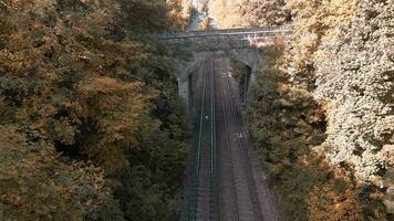 ferrocarril mediante el bosque naturalezas tranquilo camino video