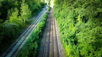 ferrovia attraverso il foresta nature tranquillo sentiero video