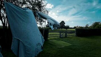 Sunny Day Laundry Freshly Hung Clothes on the Line video