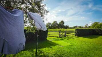 Sunny Day Laundry Freshly Hung Clothes on the Line video