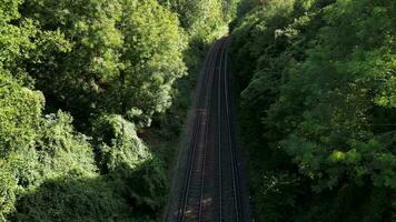 ferrovia attraverso il foresta nature tranquillo sentiero video