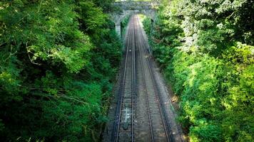 ferrocarril mediante el bosque naturalezas tranquilo camino video