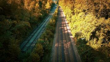 ferrovia attraverso il foresta nature tranquillo sentiero video