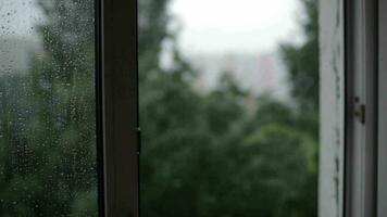 pesado lluvia atención tracción desde ventana a el edificio video