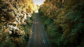 ferrovia attraverso il foresta nature tranquillo sentiero video