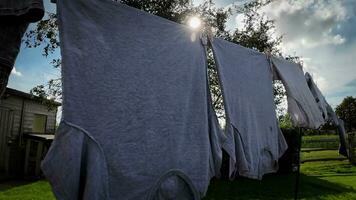 soleado día lavandería recién colgado ropa en el línea video