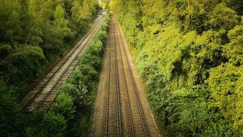 ferrocarril mediante el bosque naturalezas tranquilo camino video