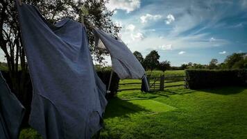 Sunny Day Laundry Freshly Hung Clothes on the Line video