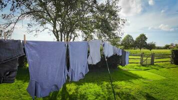 zonnig dag wasserij vers hing kleren Aan de lijn video