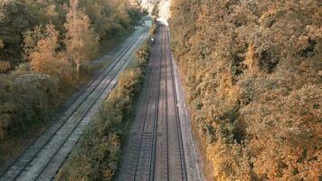 ferrovia attraverso il foresta nature tranquillo sentiero video