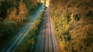 ferrovia attraverso il foresta nature tranquillo sentiero video