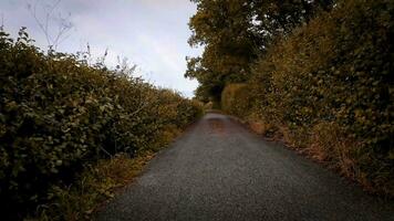 ein malerisch Bild von ein ländlich Straße im Herbst, umgeben durch beschwingt Laub im Schatten von Rot, orange, und Gelb. diese still Szene lädt ein Sie zu erkunden das Schönheit von das Landschaft. video