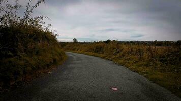 Autumnal Roadway A Scenic Drive Through the Forest video