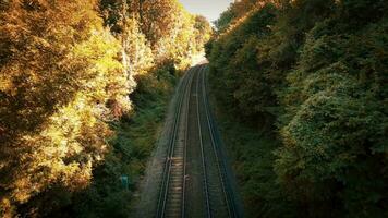 ferrovia attraverso il foresta nature tranquillo sentiero video